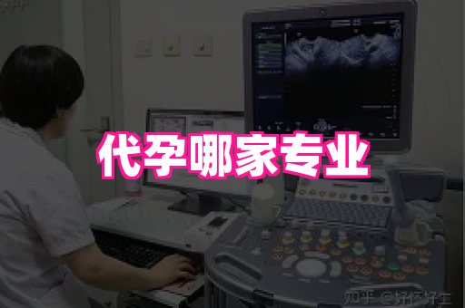 梦美助孕网 1